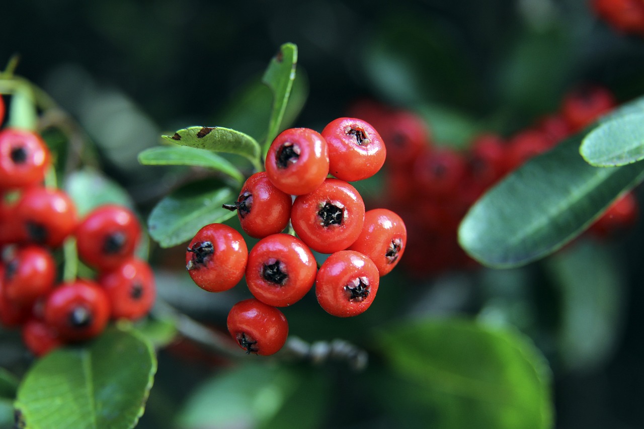 的紧张局势 的紧张局势