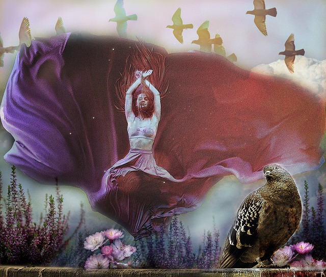 赞助金额 赞助金额