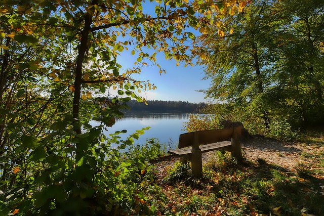 深的足球迷 深的足球迷
