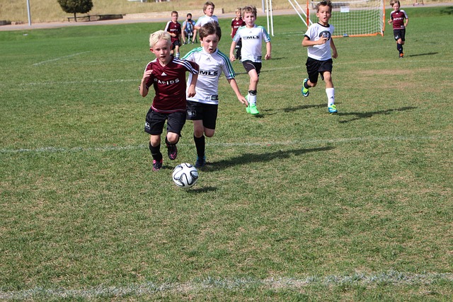 尽管欧足联 尽管欧足联