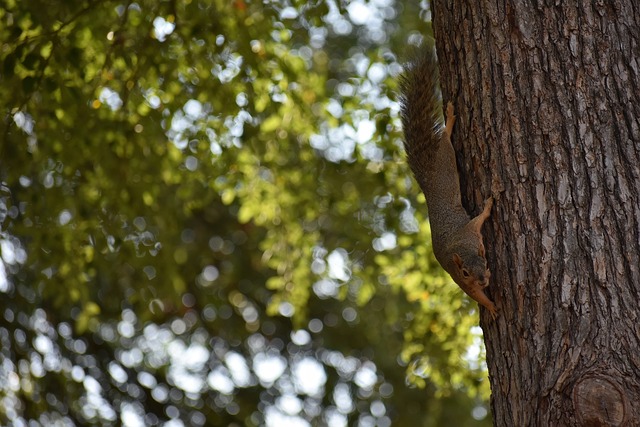球进球能力 球进球能力