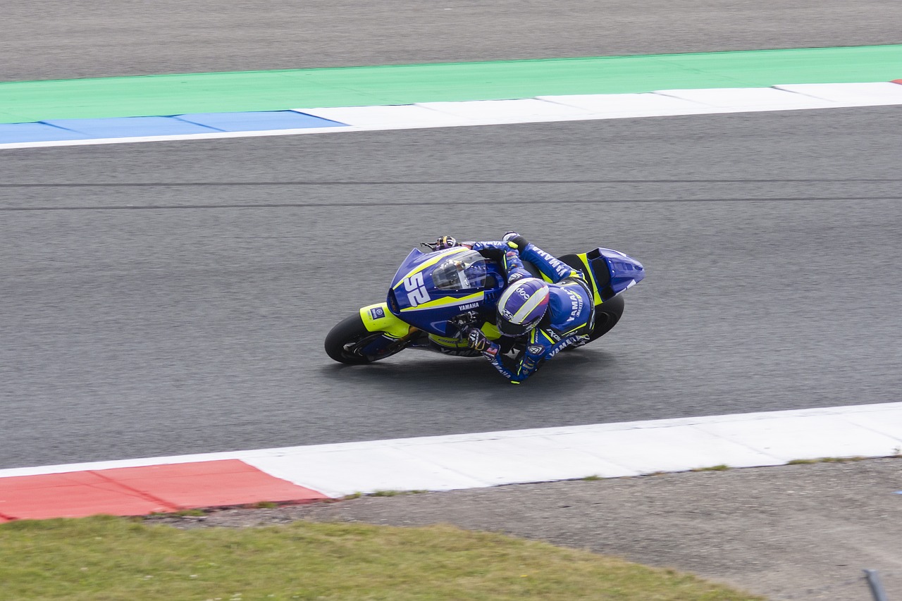 晋级的新军 晋级的新军